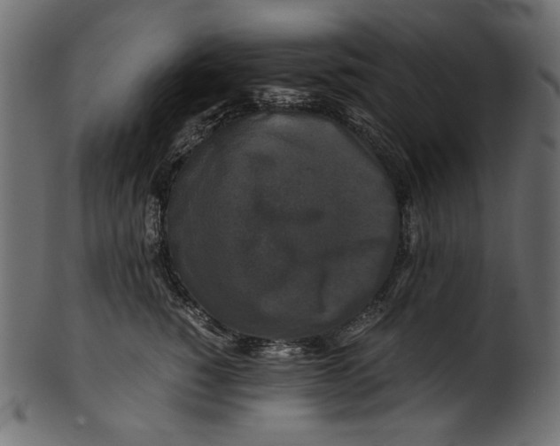 X0000100880760200807181259