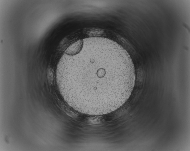 X0000100880761200807181259