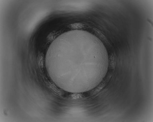 X0000100880762200807181259