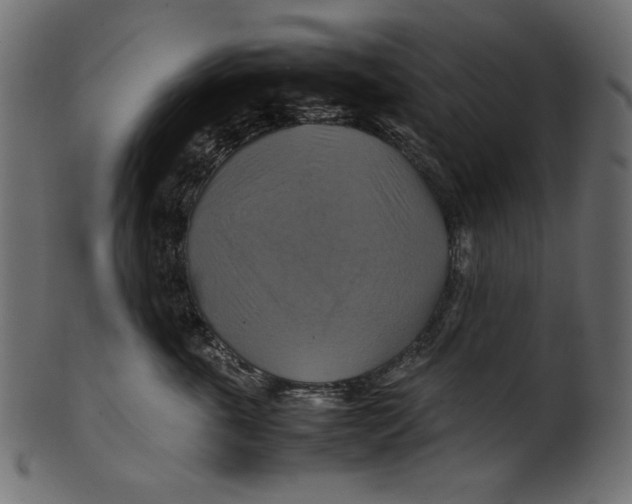 X0000100880763200807181259