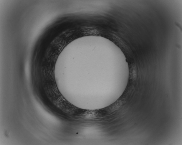 X0000100880764200807181259