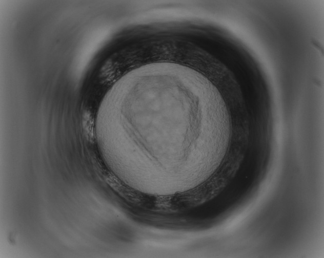 X0000100880766200807181259