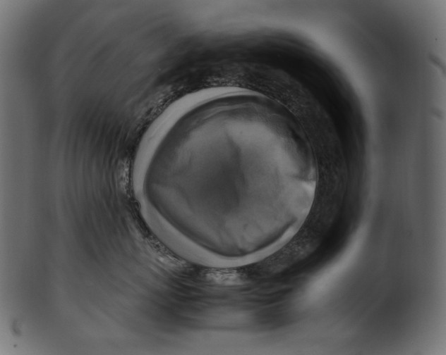 X0000100880767200807181259