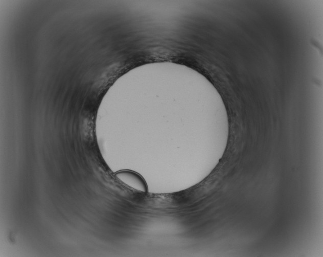 X0000100880768200807181259