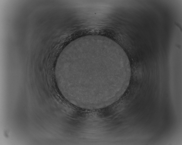 X0000100880769200807181258