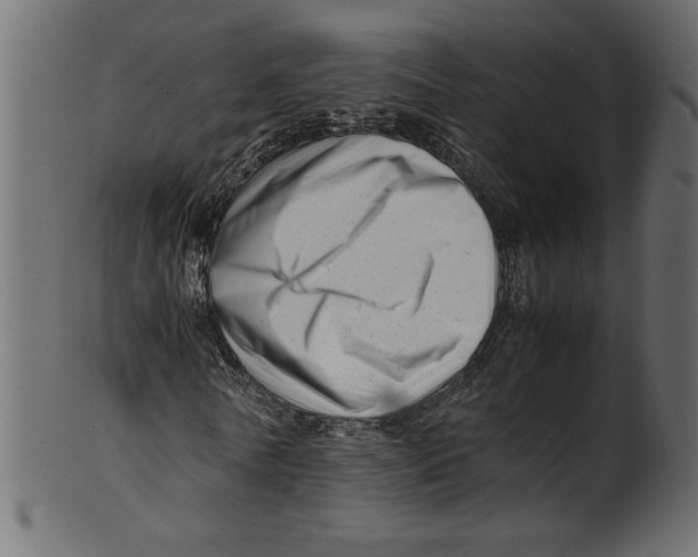 X0000100880770200807181258