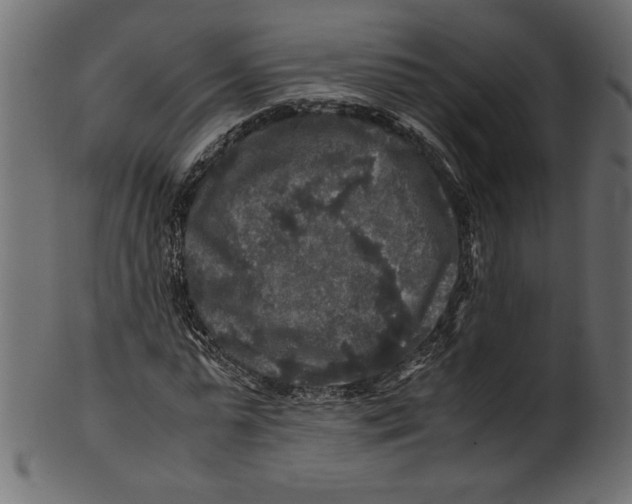 X0000100880775200807181258