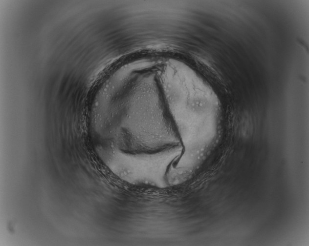 X0000100880776200807181258