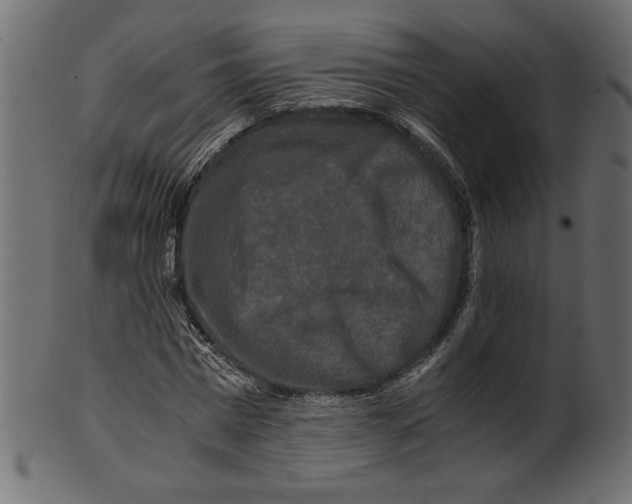 X0000100880777200807181258