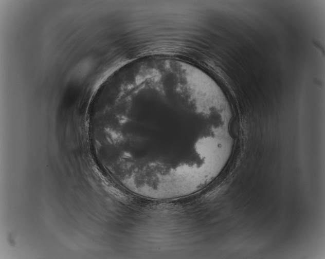 X0000100880779200807181258