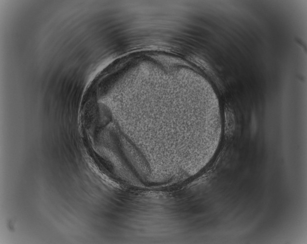 X0000100880780200807181258