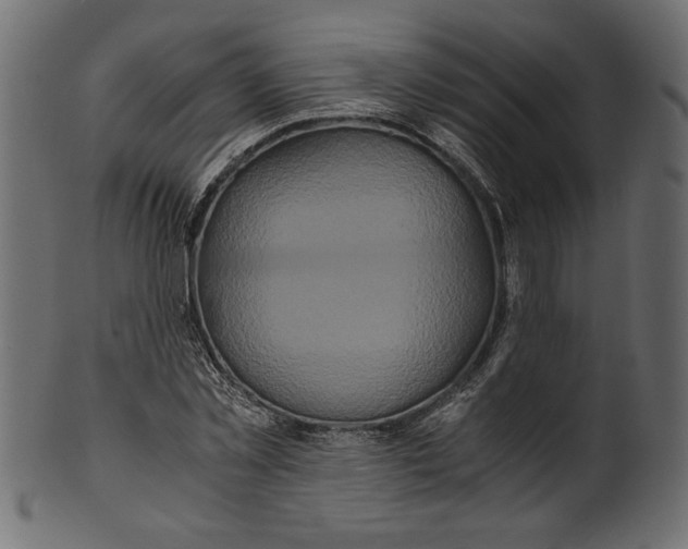 X0000100880781200807181258