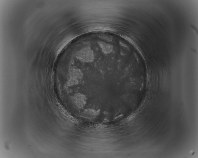 X0000100880783200807181258