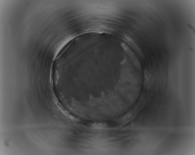 X0000100880788200807181258