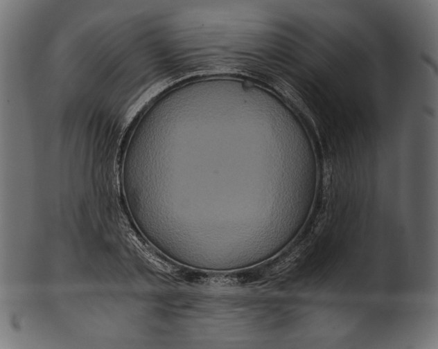 X0000100880789200807181258