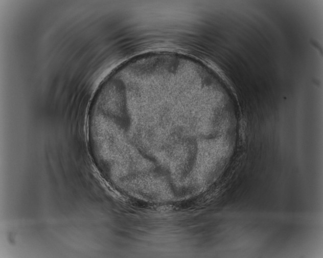 X0000100880791200807181258