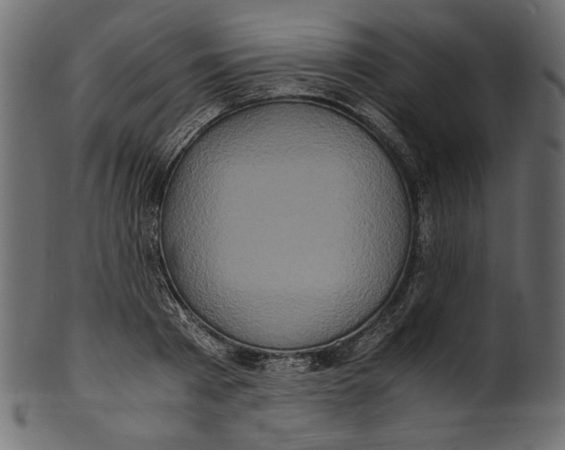 X0000100880793200807181258