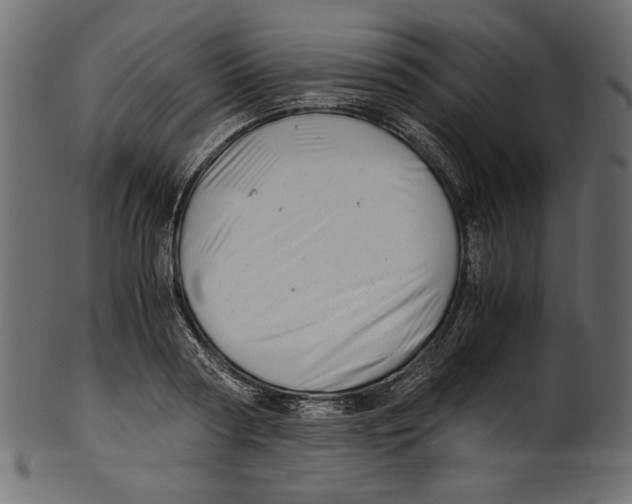 X0000100880794200807181258