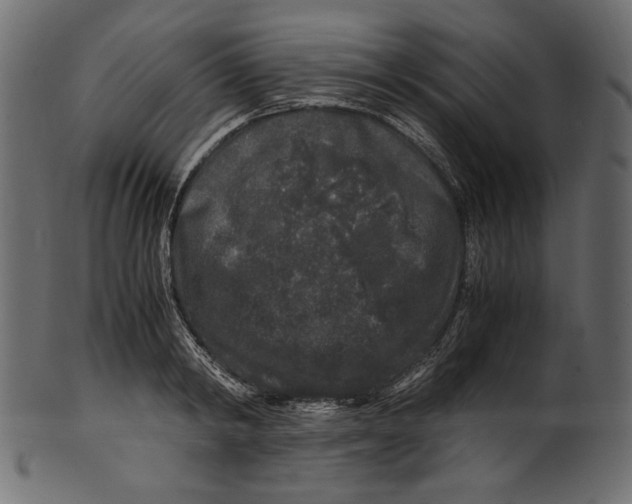 X0000100880798200807181258