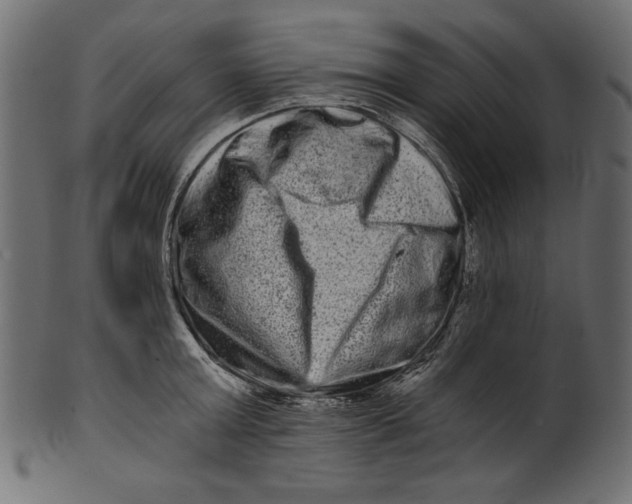 X0000100880803200807181258