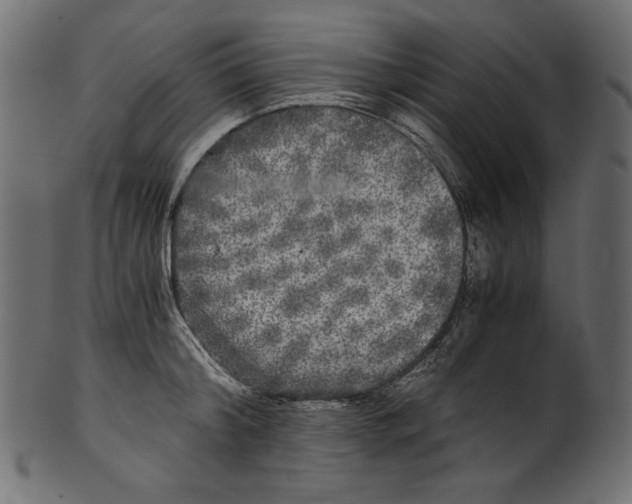 X0000100880804200807181258