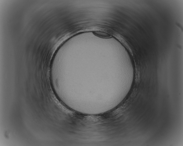 X0000100880805200807181258