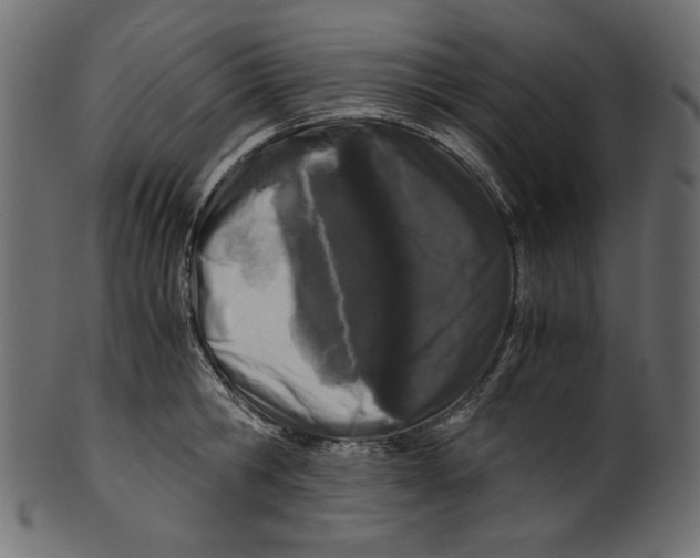 X0000100880806200807181258