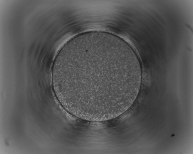 X0000100880807200807181258