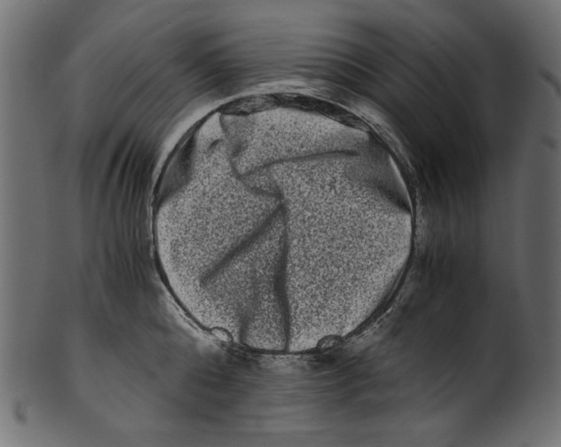 X0000100880808200807181257