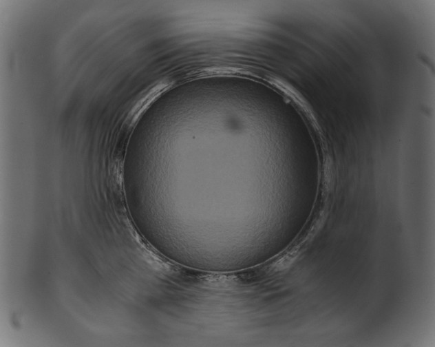 X0000100880809200807181257