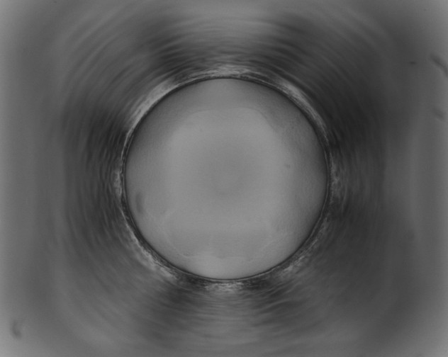 X0000100880810200807181257