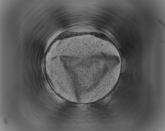 X0000100880812200807181257