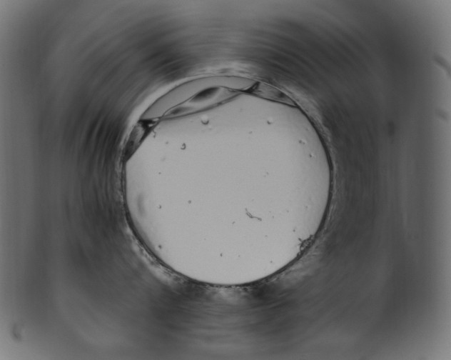 X0000100880816200807181257