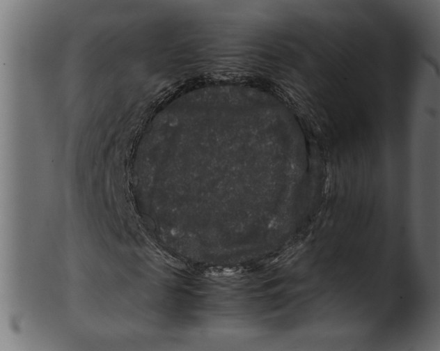 X0000100880817200807181257