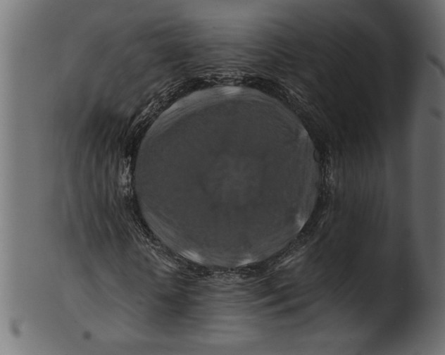 X0000100880818200807181257