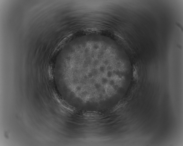 X0000100880819200807181257