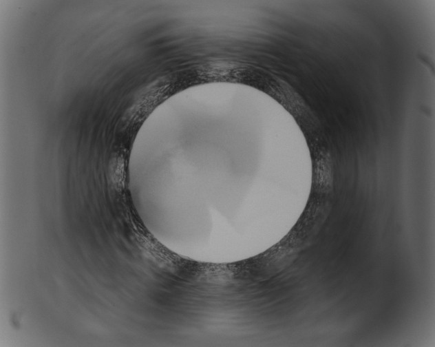 X0000100880820200807181257