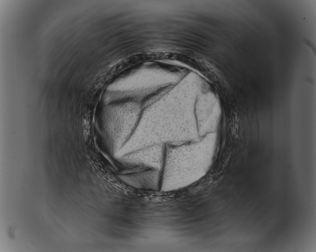 X0000100880821200807181257