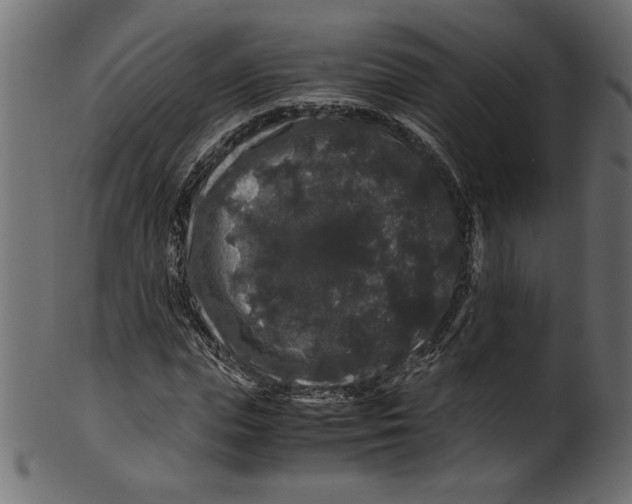 X0000100880823200807181257