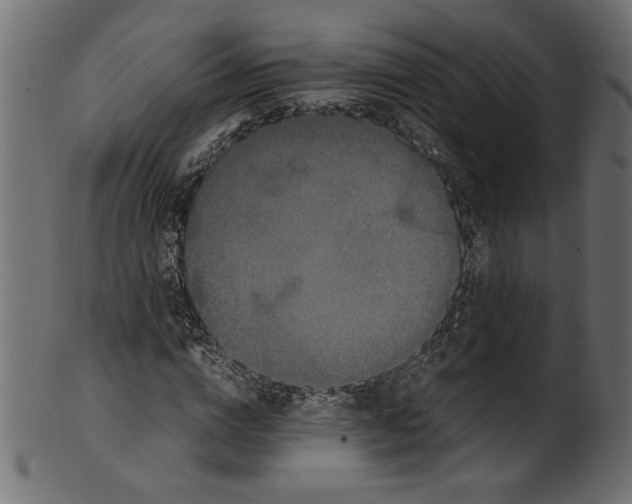 X0000100880824200807181257