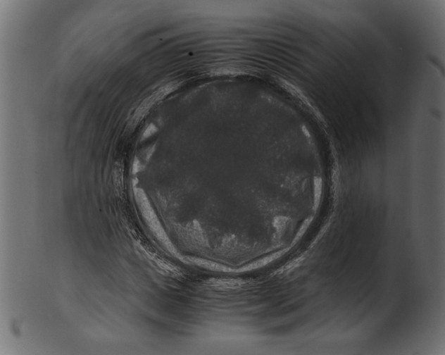 X0000100880825200807181257