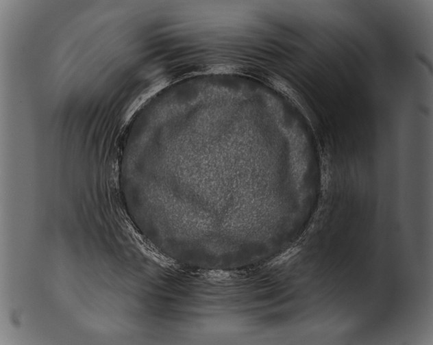 X0000100880827200807181257