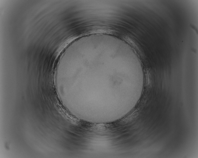 X0000100880828200807181257