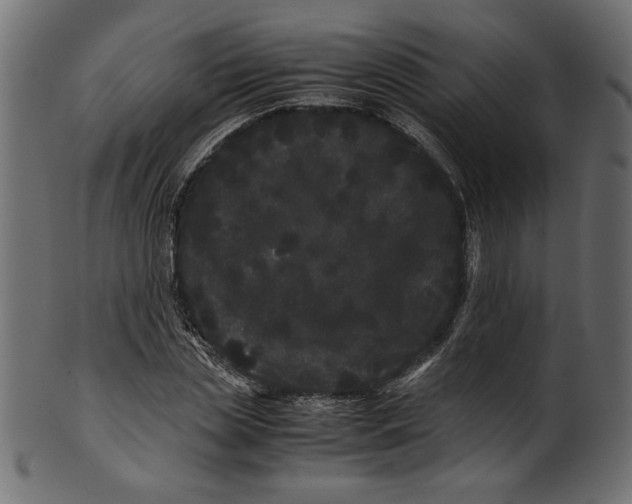 X0000100880829200807181257