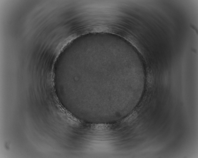 X0000100880832200807181257