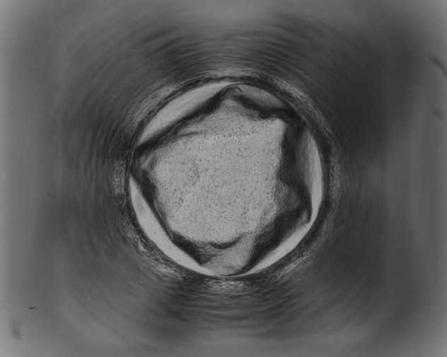 X0000100880833200807181257