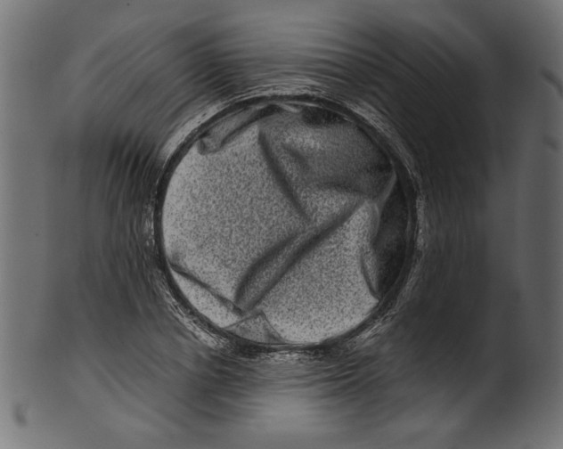 X0000100880834200807181257