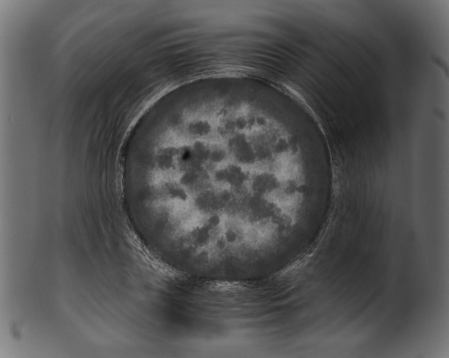 X0000100880835200807181257