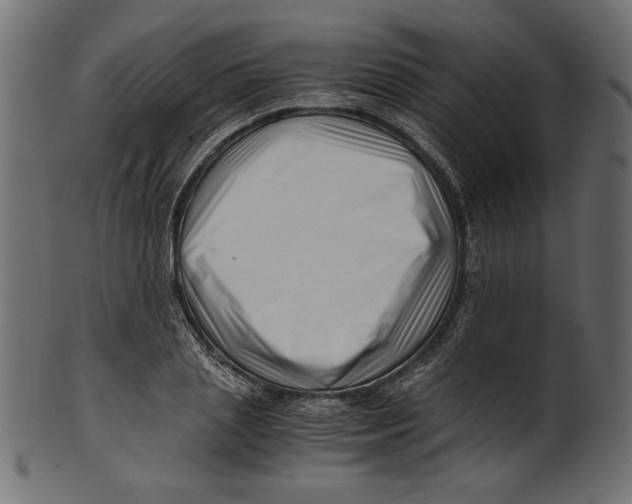 X0000100880837200807181257