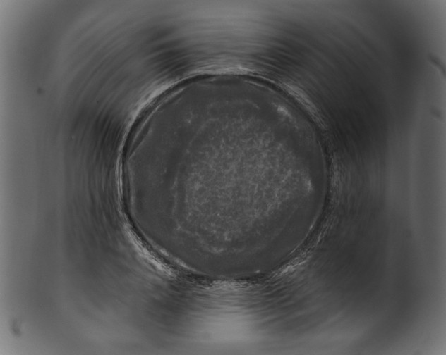 X0000100880840200807181257